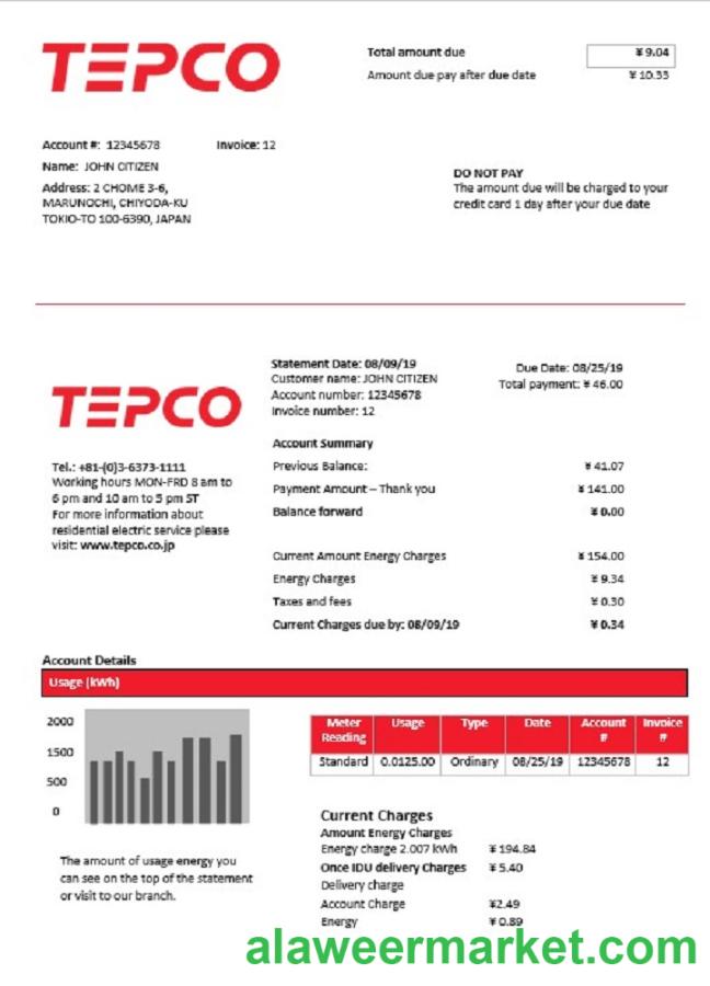 Japan Tokyo Electric Power Company electricity utility bill template in Word and PDF format